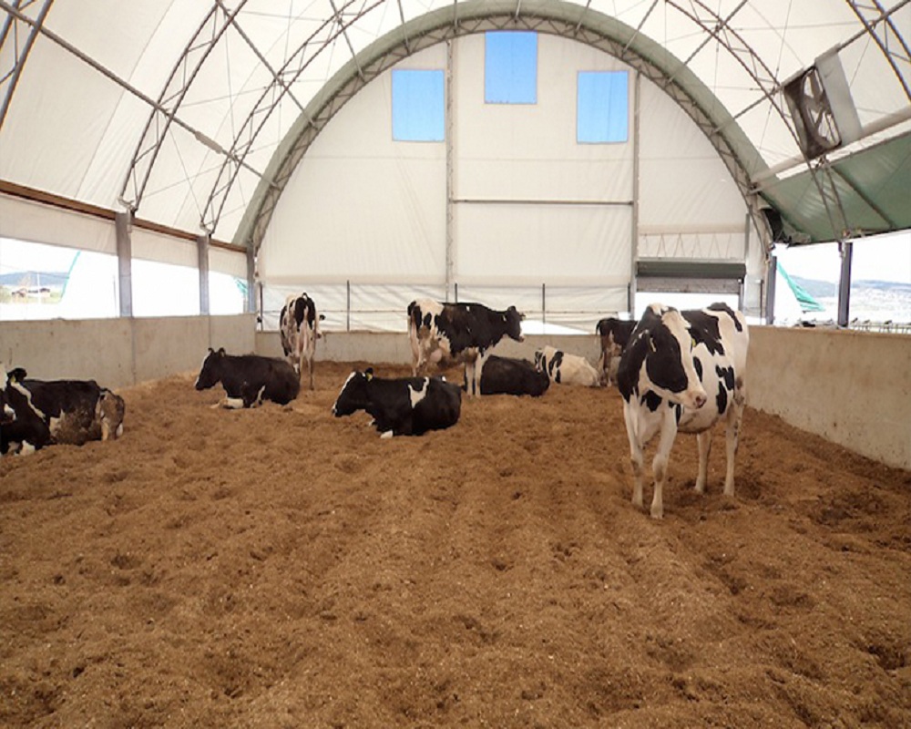 Kurbanlık Çadırı